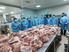 固镇县尝试小学召